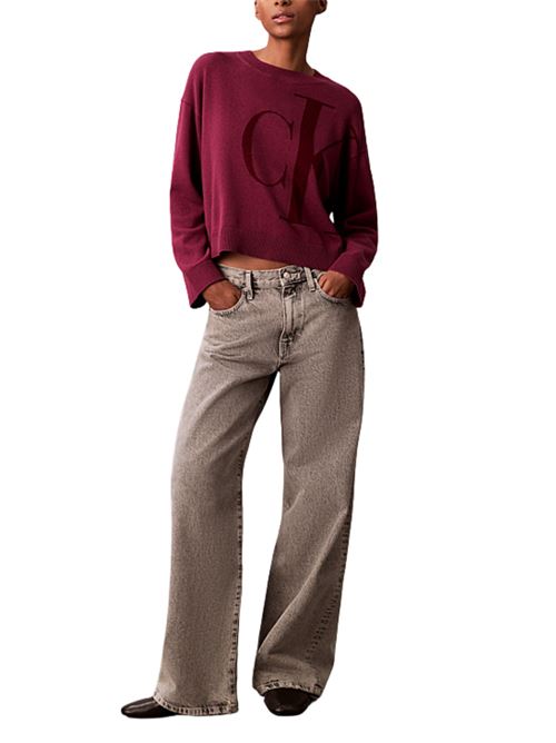 Maglione con grafica Calvin Klein Jeans | LV047E304G2E5